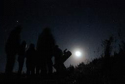 Stargazing - picture by Duncan S Smith